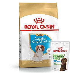 Royal Canin Cavalier King Charles Puppy Yavru Köpek Maması 1,5 Kg + Royal Canin Yavru Köpek Ödülü - Royal Canin