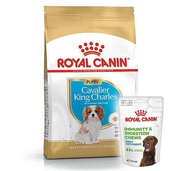 Royal Canin Cavalier King Charles Puppy Yavru Köpek Maması 1,5 Kg + Royal Canin Yavru Köpek Ödülü - 1