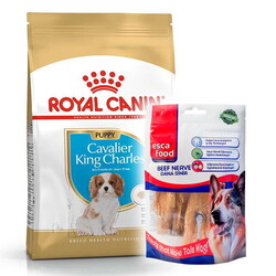 Royal Canin - Royal Canin Cavalier King Charles Puppy Yavru Köpek Maması 1,5 Kg + Esca Food Köpek Ödülü