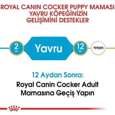 Royal Canin Cocker Puppy Irk Yavru Köpek Maması 3 Kg + Wanpy Creamy Treat 5x14 Gr