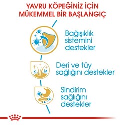 Royal Canin Cocker Puppy Irk Yavru Köpek Maması 3 Kg + Wanpy Creamy Treat 5x14 Gr - Thumbnail