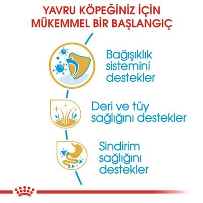 Royal Canin Cocker Puppy Irk Yavru Köpek Maması 3 Kg + Wanpy Creamy Treat 5x14 Gr