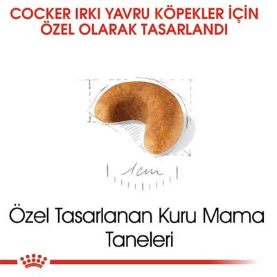 Royal Canin Cocker Puppy Irk Yavru Köpek Maması 3 Kg + Wanpy Creamy Treat 5x14 Gr