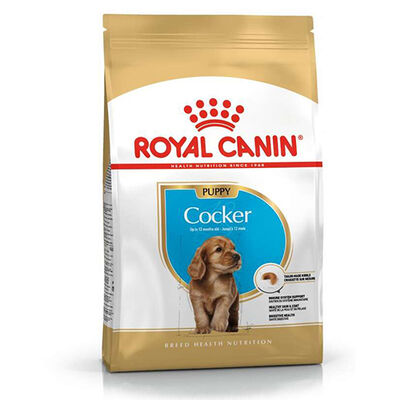 Royal Canin Cocker Puppy Irk Yavru Köpek Maması 3 Kg + Wanpy Creamy Treat 5x14 Gr
