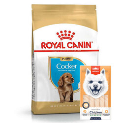 Royal Canin - Royal Canin Cocker Puppy Irk Yavru Köpek Maması 3 Kg + Wanpy Creamy Treat 5x14 Gr