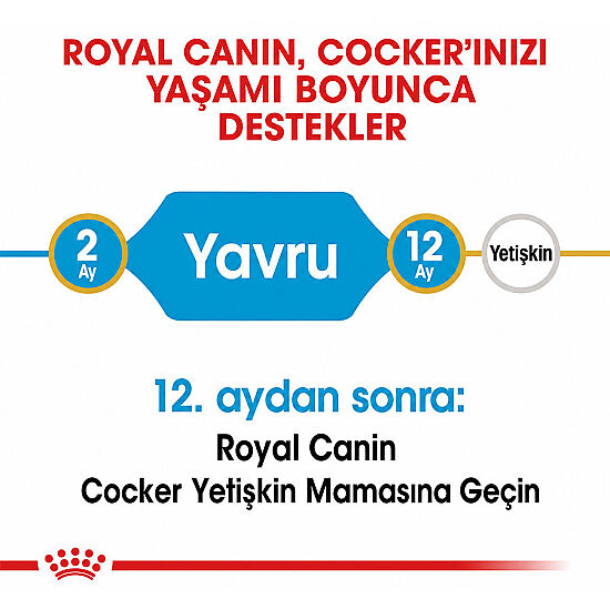 Royal Canin Cocker Puppy Irk Yavru Köpek Maması 3 Kg + Temizlik Mendili - 3