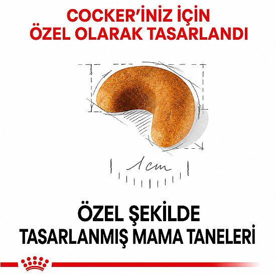Royal Canin Cocker Puppy Irk Yavru Köpek Maması 3 Kg + Temizlik Mendili - 5