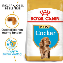 Royal Canin - Royal Canin Cocker Puppy Irk Yavru Köpek Maması 3 Kg + 2 Adet Temizlik Mendili