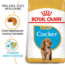 Royal Canin Cocker Puppy Irk Yavru Köpek Maması 3 Kg + Temizlik Mendili - Thumbnail