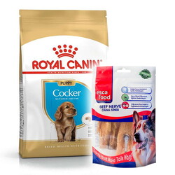 Royal Canin - Royal Canin Cocker Puppy Irk Yavru Köpek Maması 3 Kg + Esca Food Köpek Ödülü