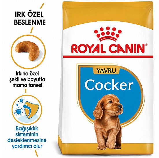 Royal Canin Cocker Puppy Irk Yavru Köpek Maması 3 Kg x 2 Adet + Temizlik Mendili - 4