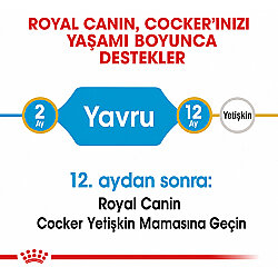 Royal Canin Cocker Puppy Irk Yavru Köpek Maması 3 Kg x 2 Adet + Temizlik Mendili - 5