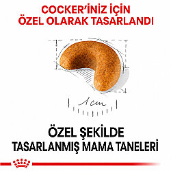 Royal Canin Cocker Puppy Irk Yavru Köpek Maması 3 Kg x 2 Adet + Temizlik Mendili - 7