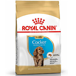 Royal Canin Cocker Puppy Irk Yavru Köpek Maması 3 Kg x 2 Adet + Temizlik Mendili - 3