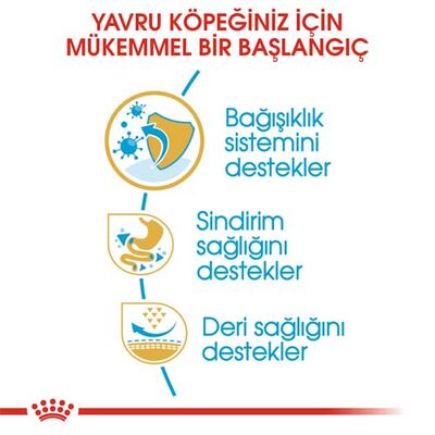 Royal Canin French Bulldog Puppy Yavru Köpek Maması 3 Kg + Temizlik Mendili - 3