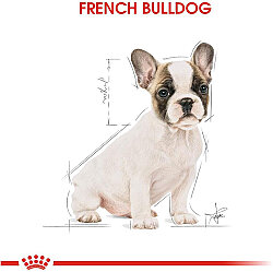 Royal Canin French Bulldog Puppy Yavru Köpek Maması 3 Kg + Temizlik Mendili - 6