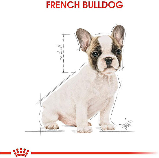 Royal Canin French Bulldog Puppy Yavru Köpek Maması 3 Kg + Temizlik Mendili - 6
