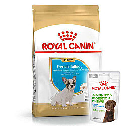 Royal Canin French Bulldog Puppy Yavru Köpek Maması 3 Kg + Royal Canin Yavru Köpek Ödülü - Royal Canin