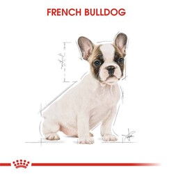 Royal Canin French Bulldog Puppy Yavru Köpek Maması 3 Kg + 2 Adet Temizlik Mendili - Thumbnail