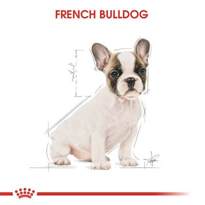 Royal Canin French Bulldog Puppy Yavru Köpek Maması 3 Kg + 2 Adet Temizlik Mendili