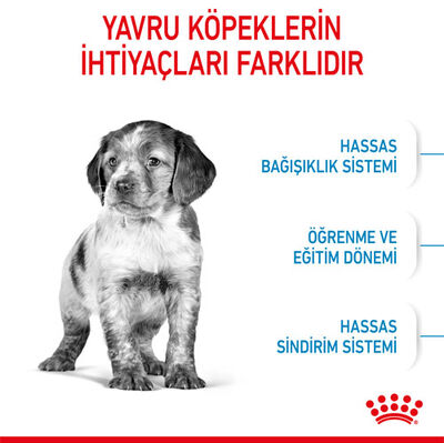 Royal Canin Medium Puppy Orta Irk Yavru Köpek Maması 4 Kg + Wanpy Creamy Treat 5x14 Gr