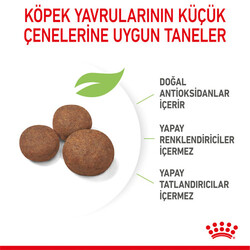 Royal Canin Medium Puppy Orta Irk Yavru Köpek Maması 4 Kg + Wanpy Creamy Treat 5x14 Gr - Thumbnail