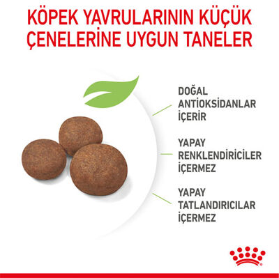 Royal Canin Medium Puppy Orta Irk Yavru Köpek Maması 4 Kg + Wanpy Creamy Treat 5x14 Gr