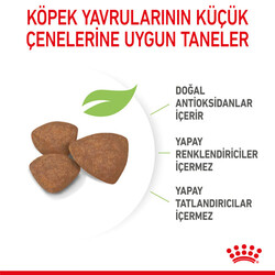 Royal Canin Mini Puppy Küçük Irk Yavru Köpek Maması 2 Kg + Temizlik Mendili - Thumbnail