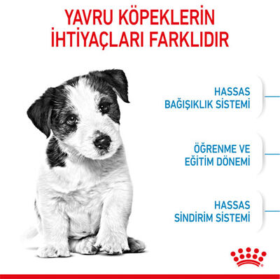 Royal Canin Mini Puppy Küçük Irk Yavru Köpek Maması 4 Kg + Temizlik Mendili - 4