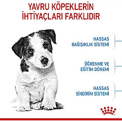 Royal Canin Mini Puppy Küçük Irk Yavru Köpek Maması 4 Kg + Temizlik Mendili - 3