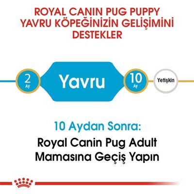 Royal Canin Pug Puppy Irkına Özel Yavru Köpek Maması 1,5 Kg + Esca Food Köpek Ödülü