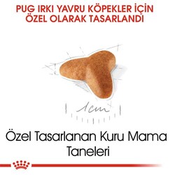 Royal Canin Pug Puppy Irkına Özel Yavru Köpek Maması 1,5 Kg + Esca Food Köpek Ödülü - Thumbnail