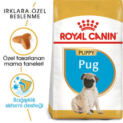 Royal Canin Pug Puppy Irkına Özel Yavru Köpek Maması 1,5 Kg + Esca Food Köpek Ödülü