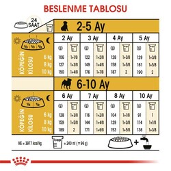 Royal Canin Pug Puppy Irkına Özel Yavru Köpek Maması 1,5 Kg + Temizlik Mendili - 6