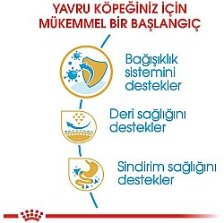  Royal Canin Pug Puppy Irkına Özel Yavru Köpek Maması 1,5 Kg + Temizlik Mendili - 2