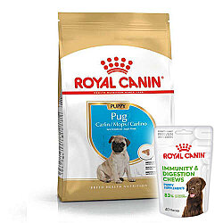 Royal Canin Pug Puppy Irkına Özel Yavru Köpek Maması 1,5 Kg + Royal Canin Yavru Köpek Ödülü - Royal Canin