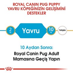 Royal Canin Pug Puppy Irkına Özel Yavru Köpek Maması 1,5 Kg + Bez Çanta - Thumbnail
