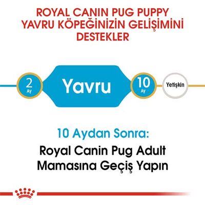 Royal Canin Pug Puppy Irkına Özel Yavru Köpek Maması 1,5 Kg + Bez Çanta