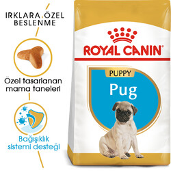 Royal Canin - Royal Canin Pug Puppy Irkına Özel Yavru Köpek Maması 1,5 Kg