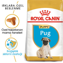 Royal Canin Pug Puppy Irkına Özel Yavru Köpek Maması 1,5 Kg + Bez Çanta - Thumbnail