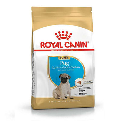 Royal Canin Pug Puppy Irkına Özel Yavru Köpek Maması 1,5 Kg + Bez Çanta