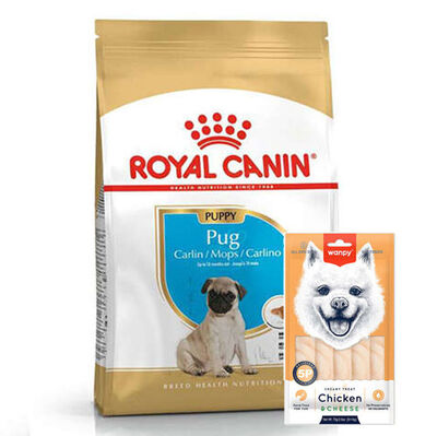 Royal Canin Pug Puppy Irkına Özel Yavru Köpek Maması 1,5 Kg + Wanpy Creamy Treat 5x14 Gr
