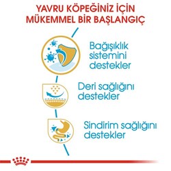 Royal Canin Pug Puppy Irkına Özel Yavru Köpek Maması 1,5 Kg x 2 Adet + Temizlik Mendili - 3