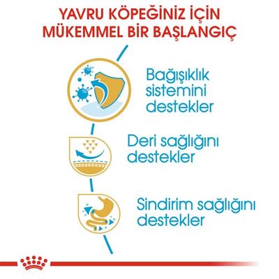 Royal Canin Pug Puppy Irkına Özel Yavru Köpek Maması 1,5 Kg x 2 Adet + Temizlik Mendili - 3