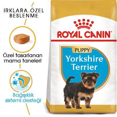 Royal Canin Yorkshire Terrier Puppy Yavru Köpek Maması 1,5 Kg + Wanpy Creamy Treat 5x14 Gr