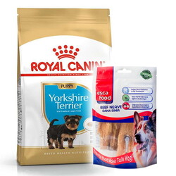 Royal Canin - Royal Canin Yorkshire Terrier Puppy Yavru Köpek Maması 1,5 Kg + Esca Food Köpek Ödülü