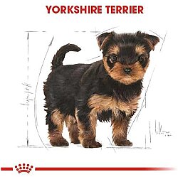Royal Canin Yorkshire Terrier Puppy Yavru Köpek Maması 1,5 Kg + Royal Canin Yavru Köpek Ödülü - 4