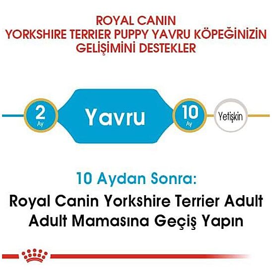 Royal Canin Yorkshire Terrier Puppy Yavru Köpek Maması 1,5 Kg + Royal Canin Yavru Köpek Ödülü - 3