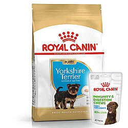 Royal Canin Yorkshire Terrier Puppy Yavru Köpek Maması 1,5 Kg + Royal Canin Yavru Köpek Ödülü - Royal Canin
