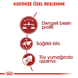 Royal Canin Regular Fit Kedi Maması 10 Kg x 2 Adet + 30 Adet Wooc Lolipop Ödül - 5